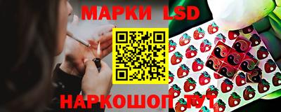 сатива Нальчик