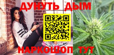 сатива Нальчик
