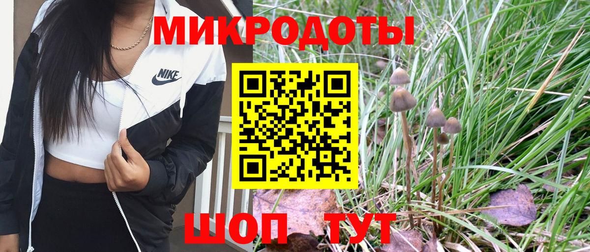 Псилоцибиновые грибы мухоморы  Вход с VPN  где продают наркотики  Благодарный  Галлюциногенные грибы Magic Shrooms 