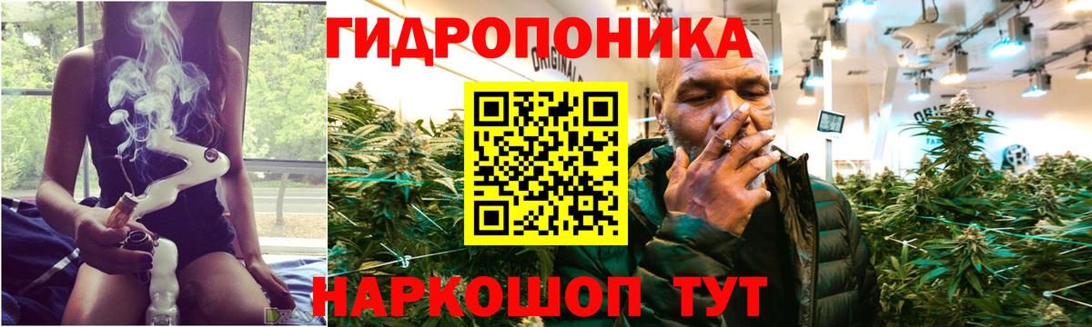 Конопля SATIVA & INDICA Благодарный